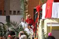 Domingo ramos 2012 (154)