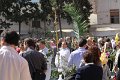 Domingo ramos 2012 (157)