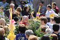 Domingo ramos (58)