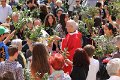 Domingo ramos (70)